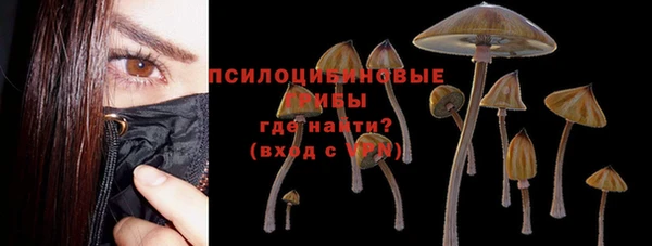 молекула духа Саяногорск