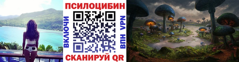 Галлюциногенные грибы прущие грибы  Белёв 